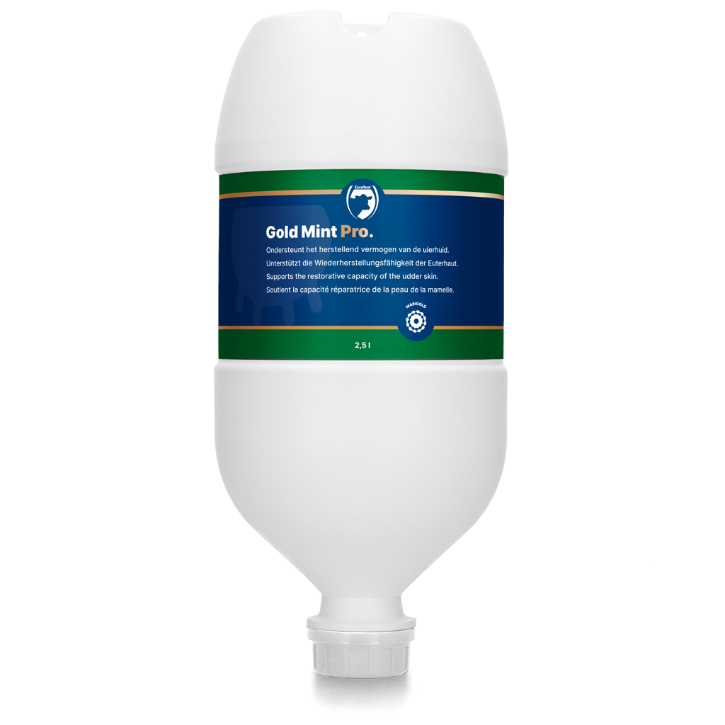 Excellent Gold Mint Pro Hangtube 2,5 l 2025 Excellent Gold Mint Pro Hangtube 2,5 l