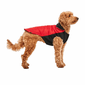 Goo-eez Mock Neck Signature Wrap Jacket XXS Rood/Zwart