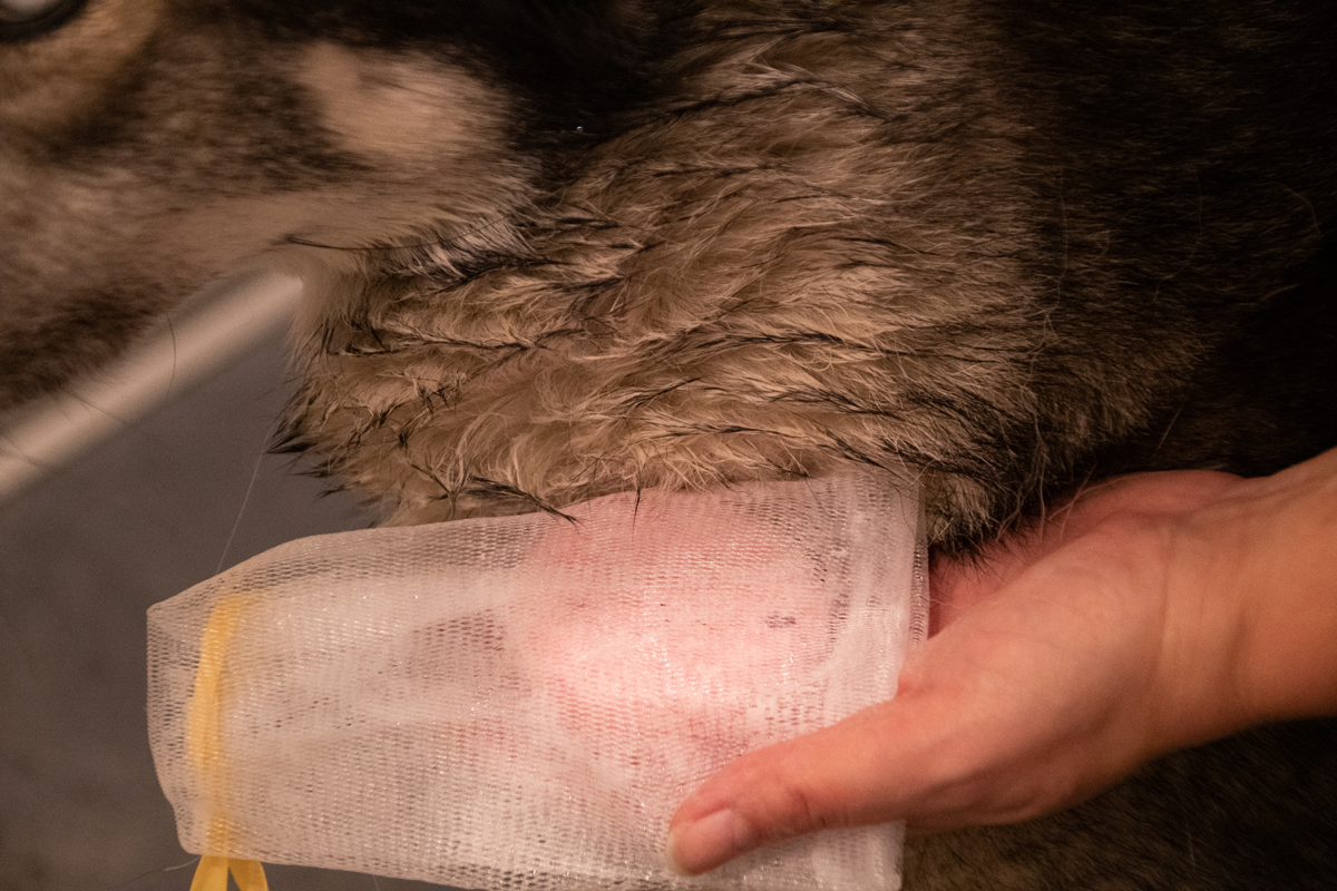 Groomers Secret Shampoo Bar Roos 2025 Groomers Secret Shampoo Bar Roos - Afbeelding 5