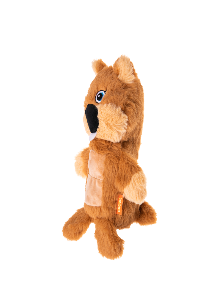 Growl Belly Boomerz Benny de Bever 2025 Growl Belly Boomerz Benny de Bever - Afbeelding 3