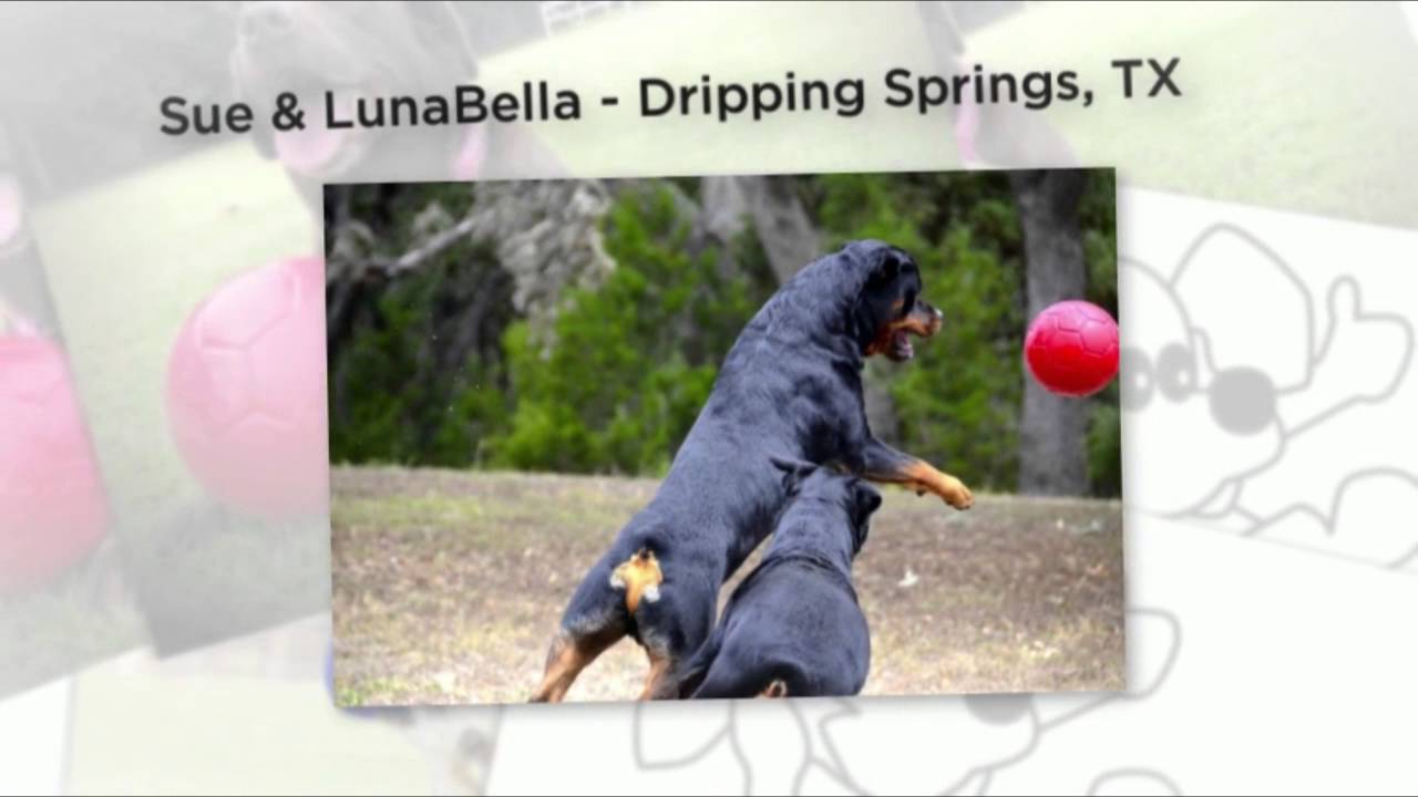 Jolly Soccer Ball Groen L (20 cm) 2025 Jolly Soccer Ball Groen L (20 cm) - Afbeelding 2