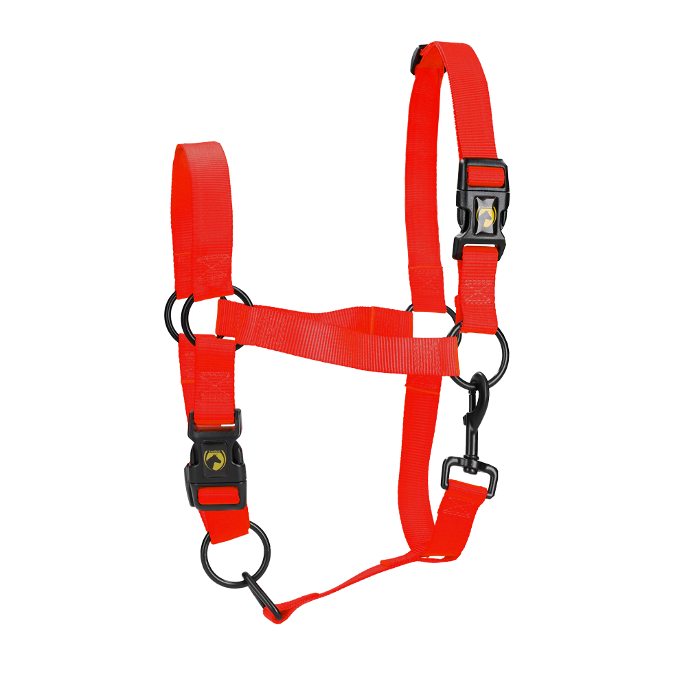 Excellent Essential Halster Rood XS 2025 Excellent Essential Halster Rood XS