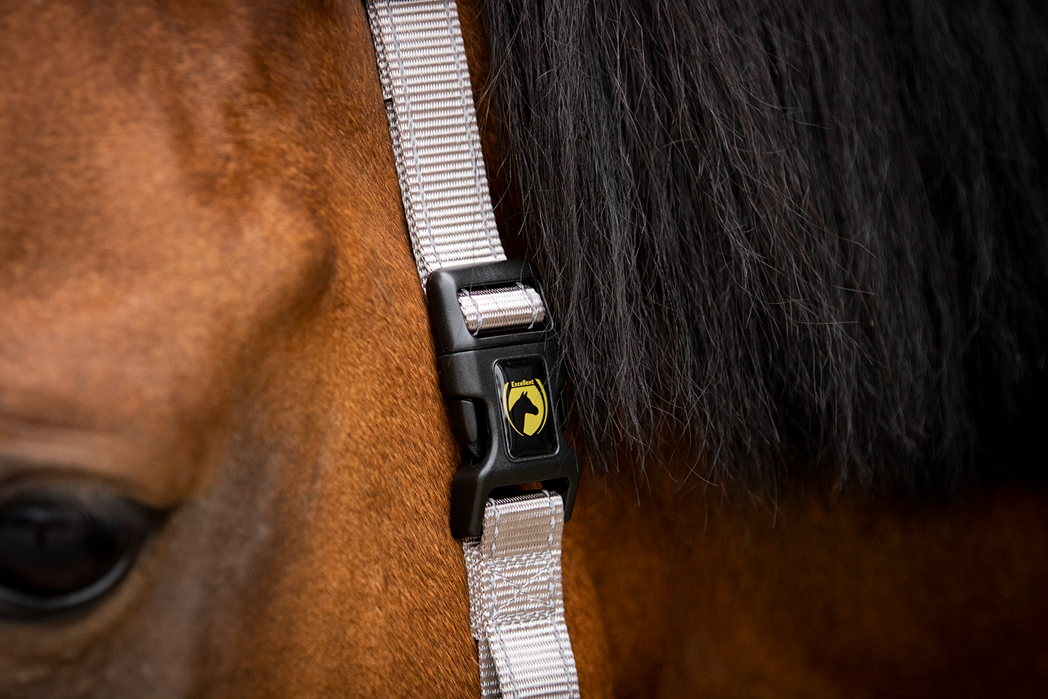 Excellent Essential Halster Grijs XS 2025 Excellent Essential Halster Grijs XS - Afbeelding 2