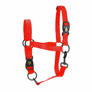 Excellent Essential Halster Rood L