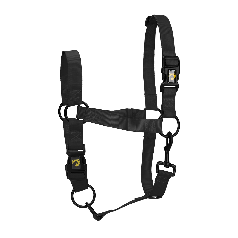 Excellent Essential Halster Zwart L 2025 Excellent Essential Halster Zwart L