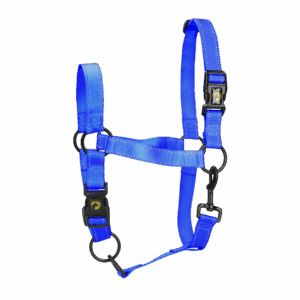 Excellent Premium Halster Blauw S