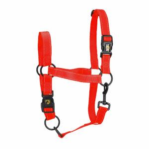 Excellent Premium Halster Rood L
