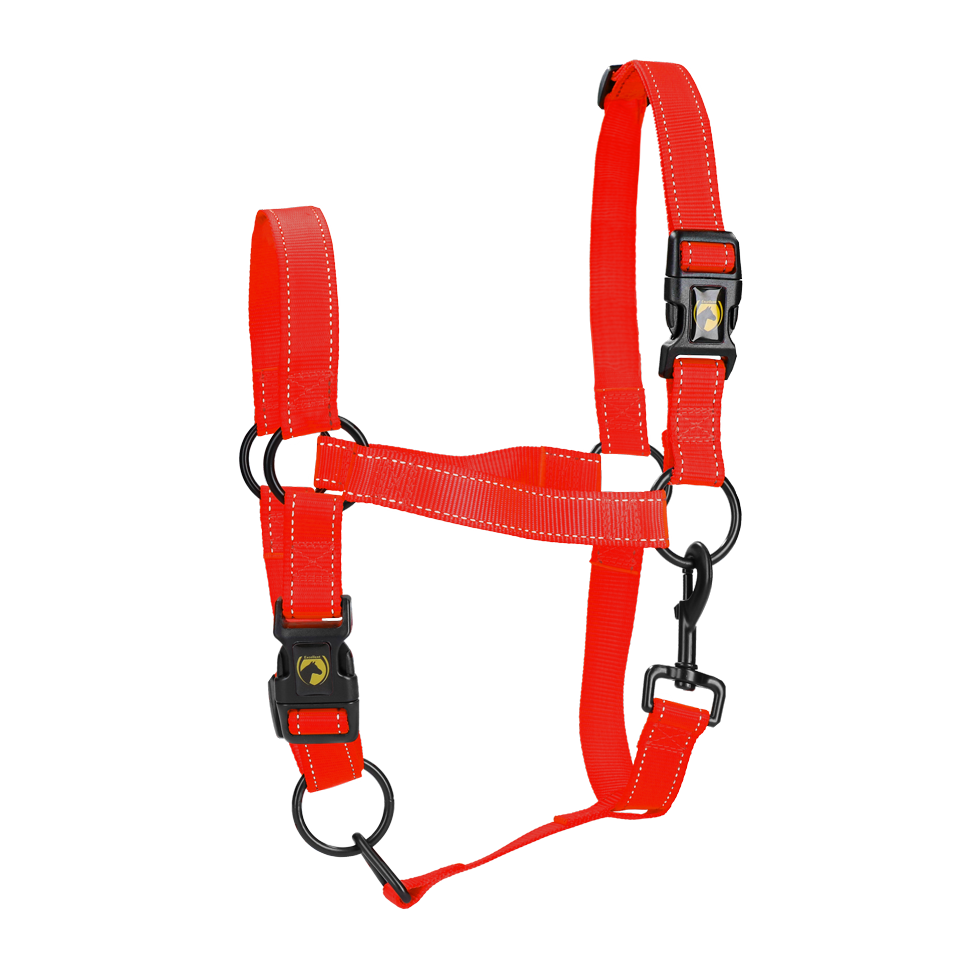 Excellent Premium Halster Rood XL 2025 Excellent Premium Halster Rood XL
