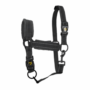 Excellent Superior Halster Zwart XS