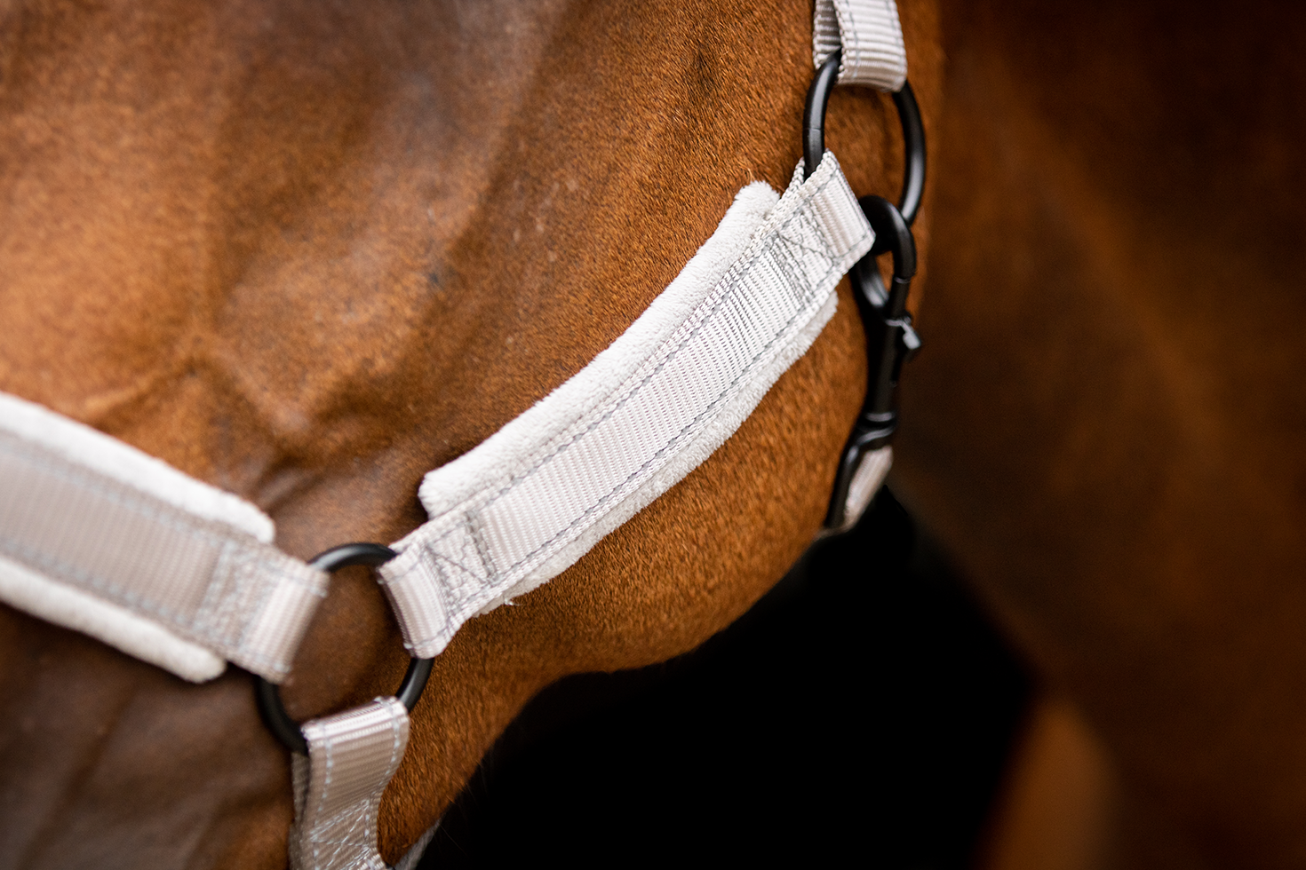 Excellent Superior Halster Grijs XS 2025 Excellent Superior Halster Grijs XS - Afbeelding 4