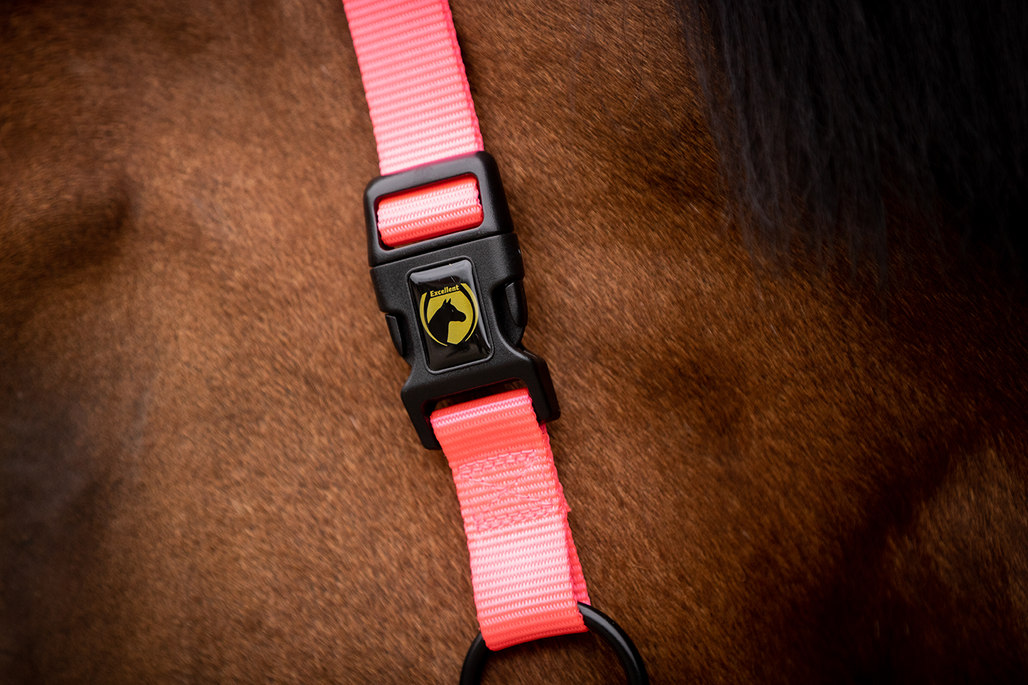 Excellent Superior Halster Roze XS 2025 Excellent Superior Halster Roze XS - Afbeelding 4