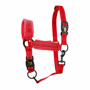 Excellent Superior Halster Rood L