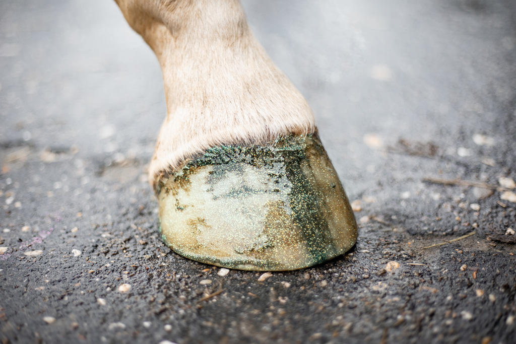 Excellent Horse Hi Gloss Glitter Hoof Polish Green 150 ml 2025 Excellent Horse Hi Gloss Glitter Hoof Polish Green 150 ml - Afbeelding 3