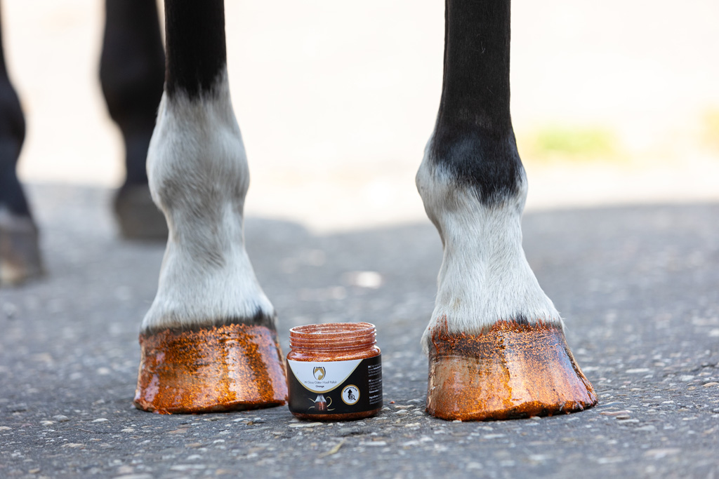 Excellent Horse Hi Gloss Glitter Hoof Polish Orange 150 ml 2025 Excellent Horse Hi Gloss Glitter Hoof Polish Orange 150 ml - Afbeelding 3