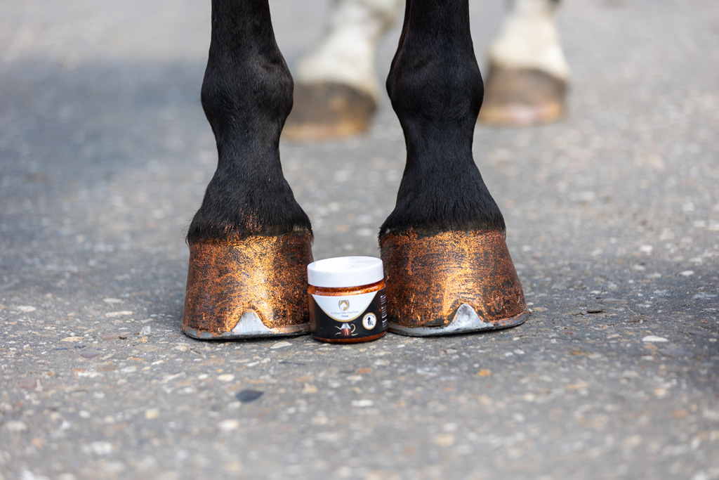 Excellent Horse Hi Gloss Glitter Hoof Polish Orange 150 ml 2025 Excellent Horse Hi Gloss Glitter Hoof Polish Orange 150 ml - Afbeelding 2