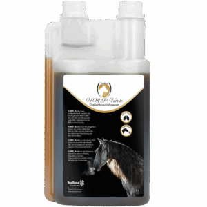 Excellent Horse H.M.P. Liquid 1 l