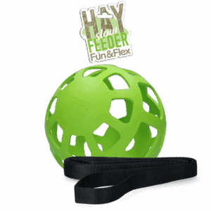 Hay Slow Feeder Fun & Flex Groen