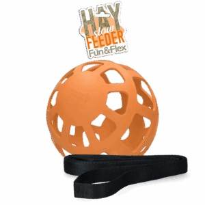 Hay Slow Feeder Fun & Flex Oranje