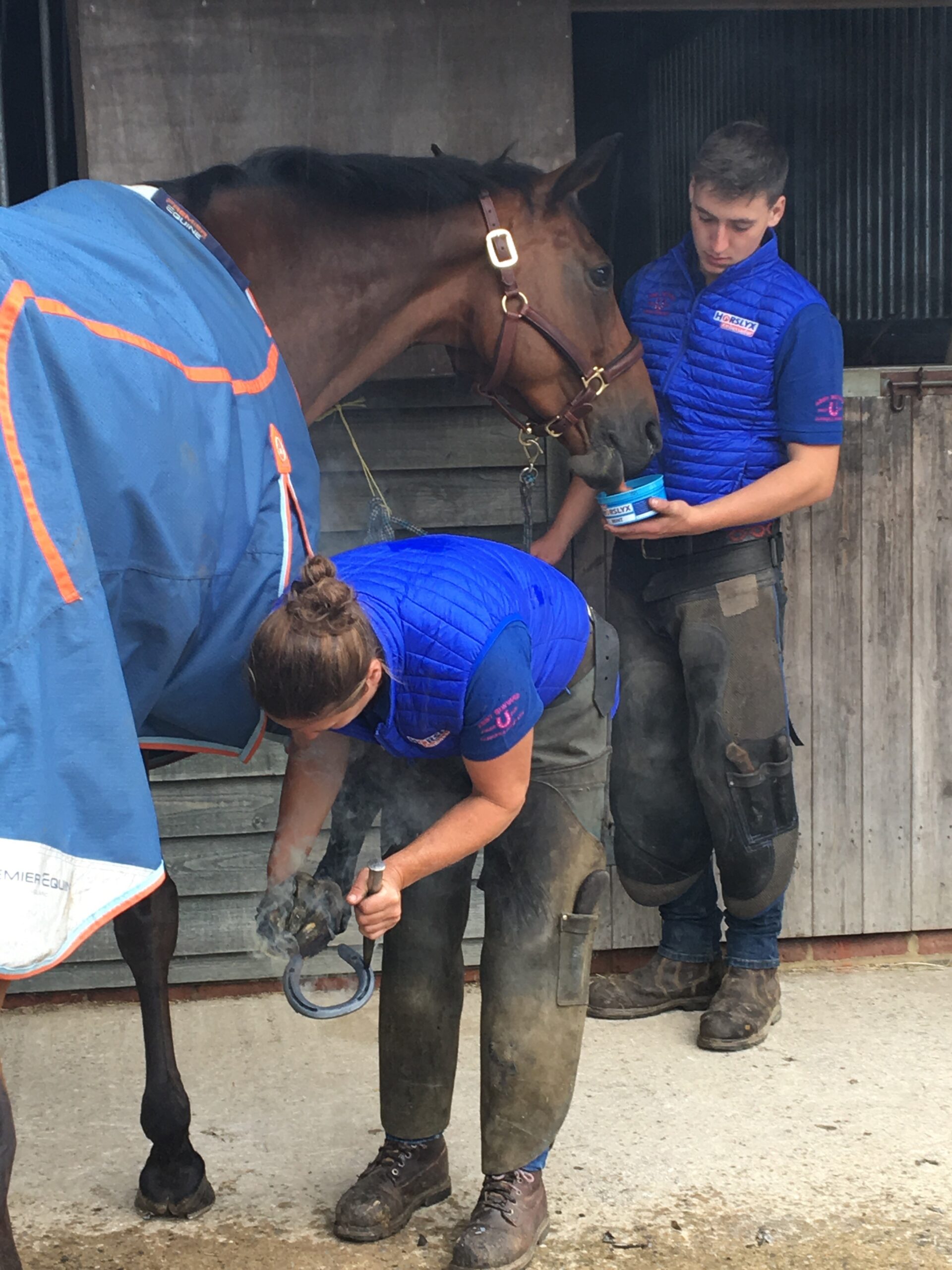 Horslyx Mini Original 2025 Horslyx Mini Original - Afbeelding 4