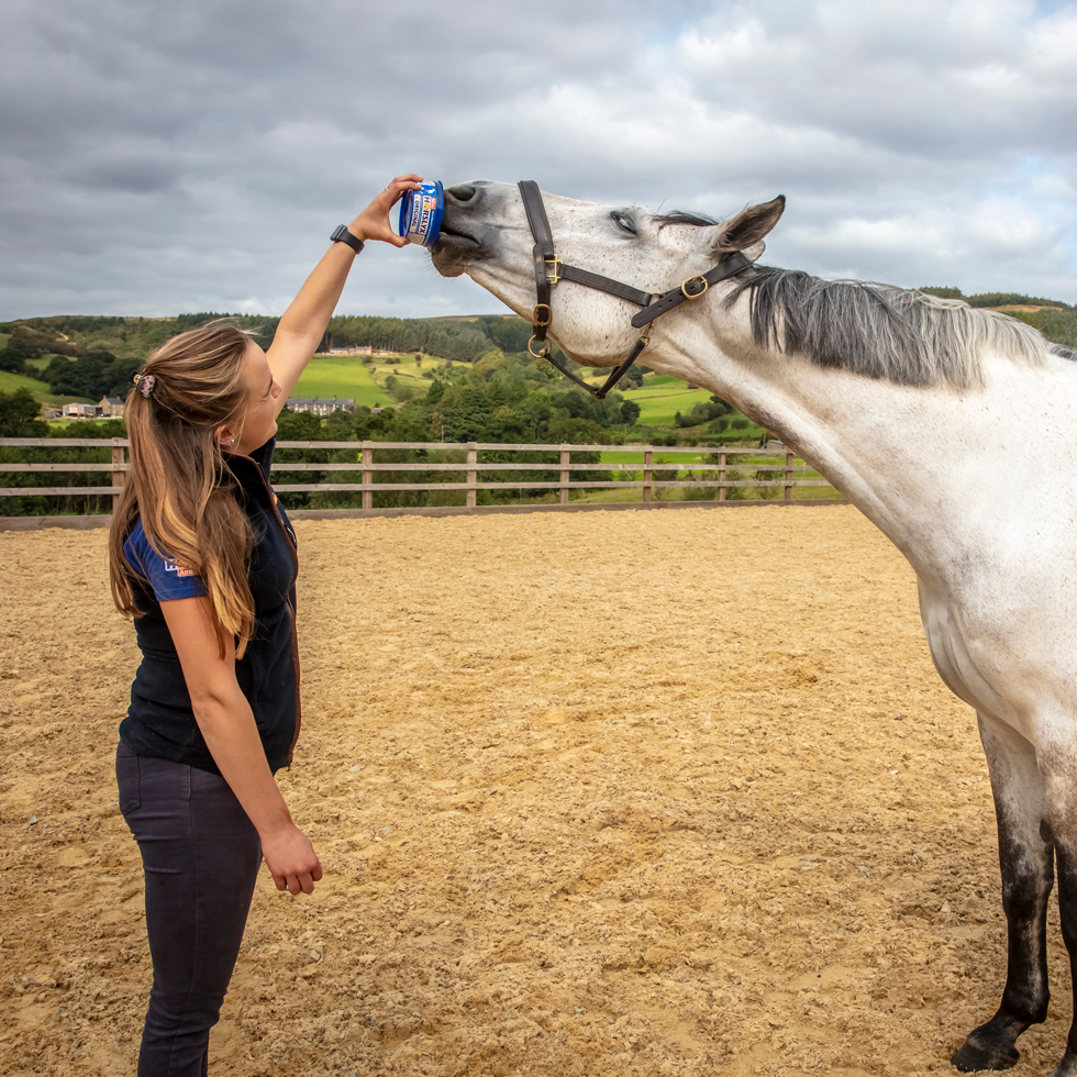 Horslyx Mini Original 2025 Horslyx Mini Original - Afbeelding 3