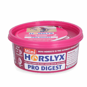 Horslyx Mini Spijsvertering