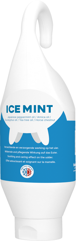 Ice Mint Gel Sta en hangtube 500 ml 2025 Ice Mint Gel Sta en hangtube 500 ml