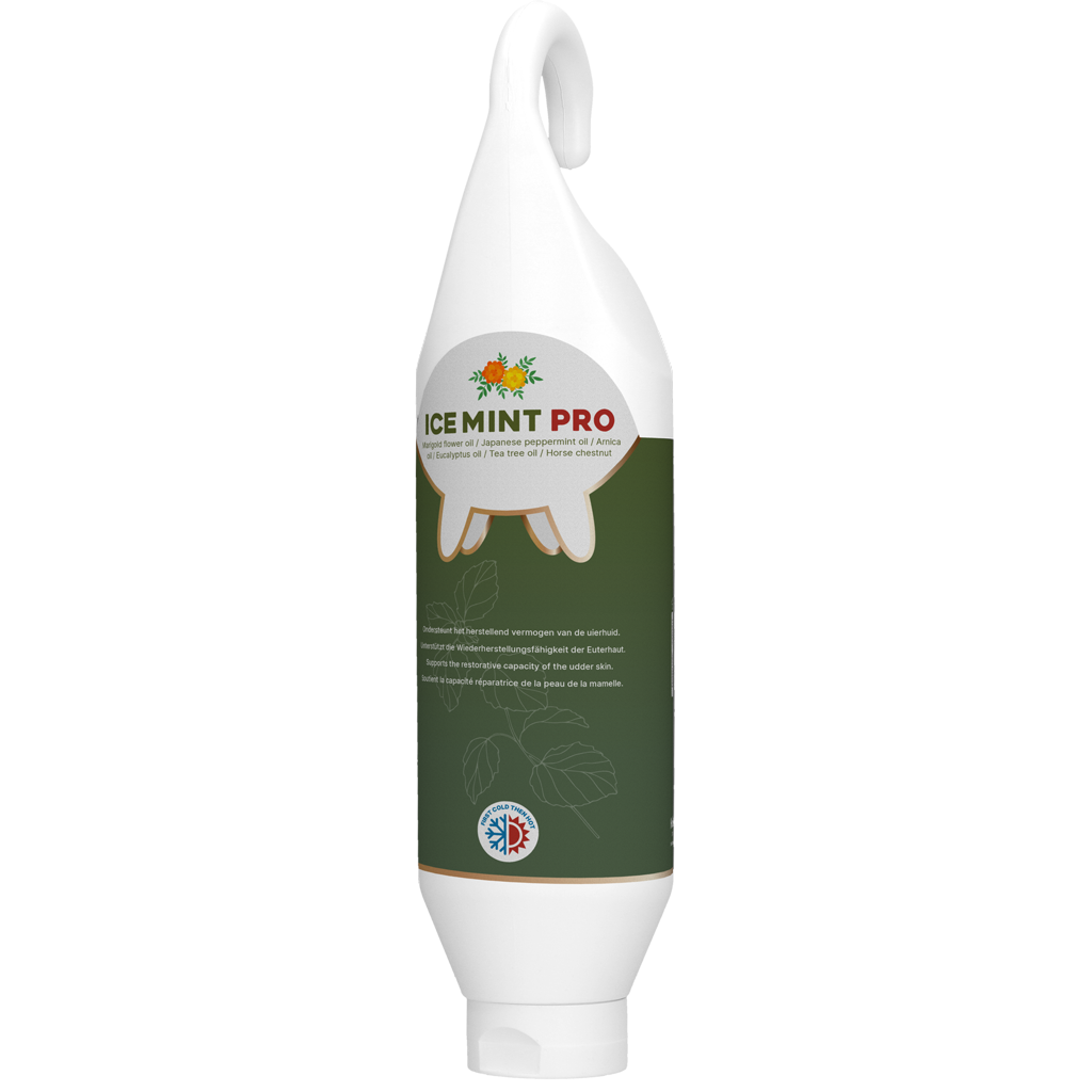 Ice Mint Pro Gel Sta- / Hangtube 1 l 2025 Ice Mint Pro Gel Sta- / Hangtube 1 l