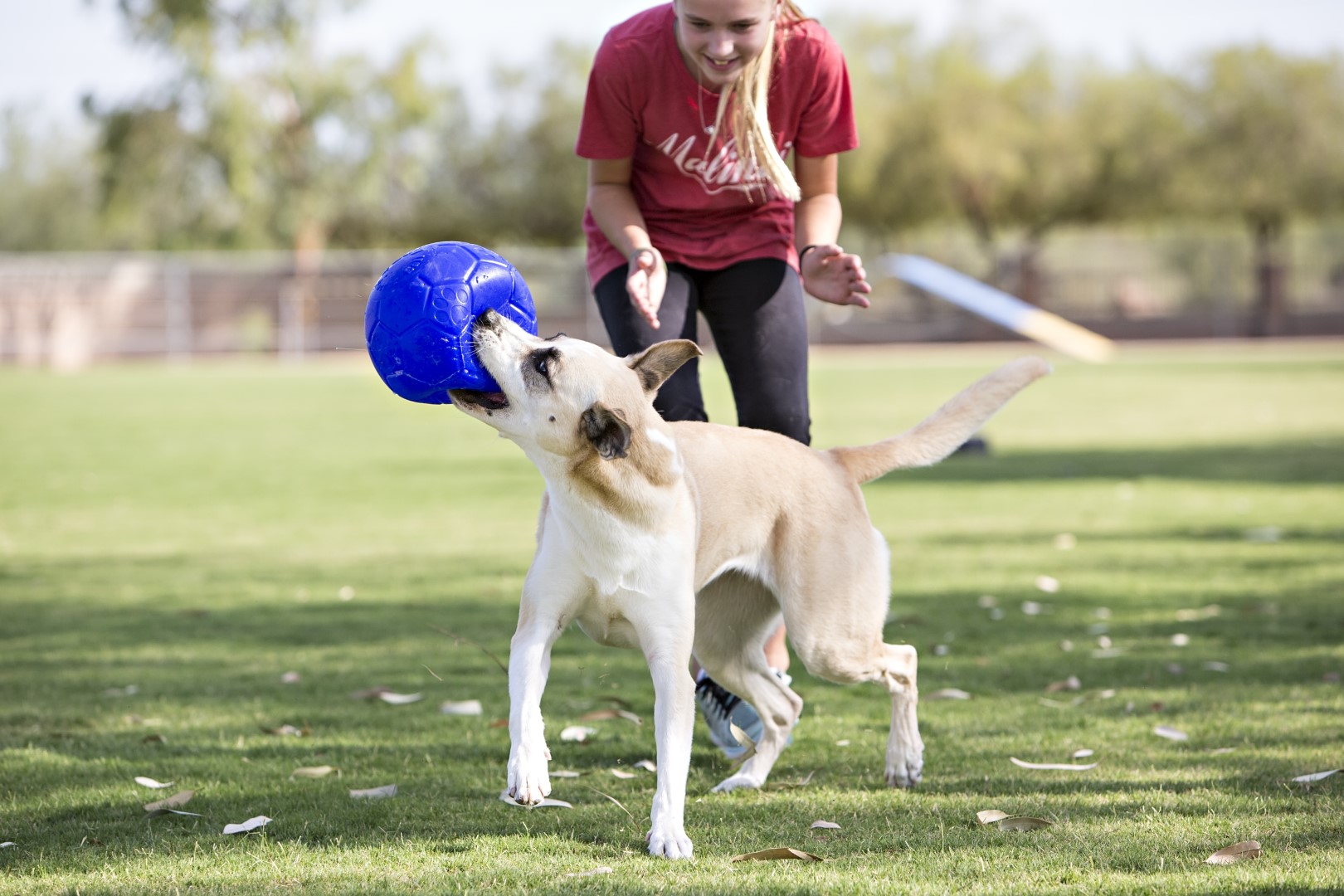Jolly Soccer Ball Lichtblauw S (15 cm) 2025 Jolly Soccer Ball Lichtblauw S (15 cm) - Afbeelding 4