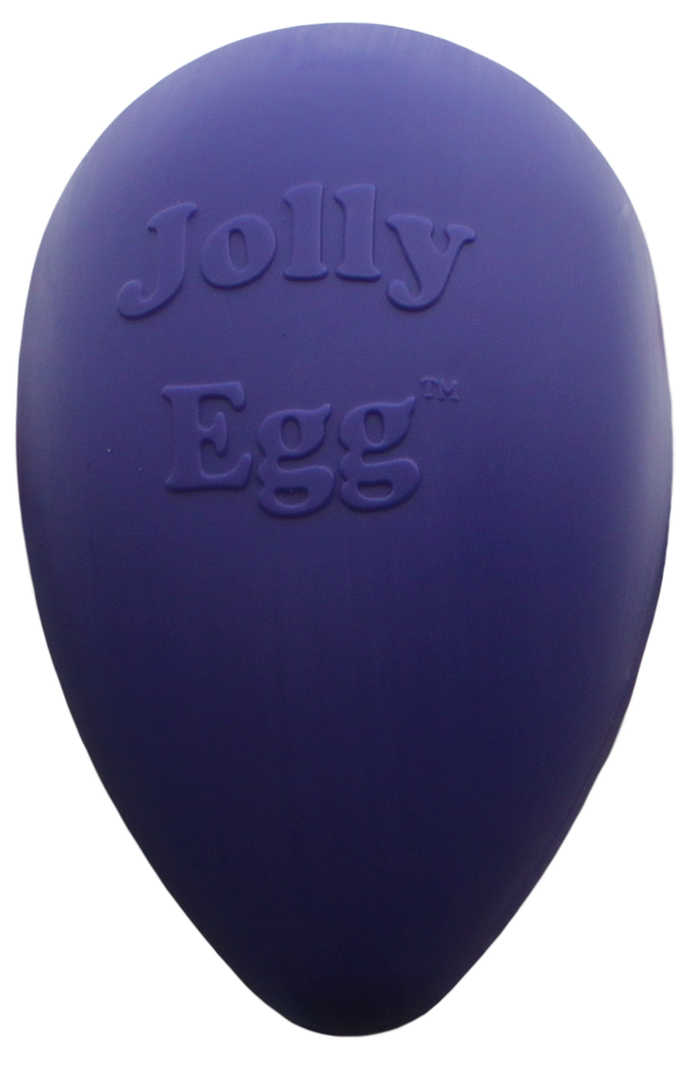 Jolly Egg Paars L (30 cm) 2025 Jolly Egg Paars L (30 cm)