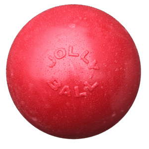 Jolly Bounce-n Play Rood L (20 cm)