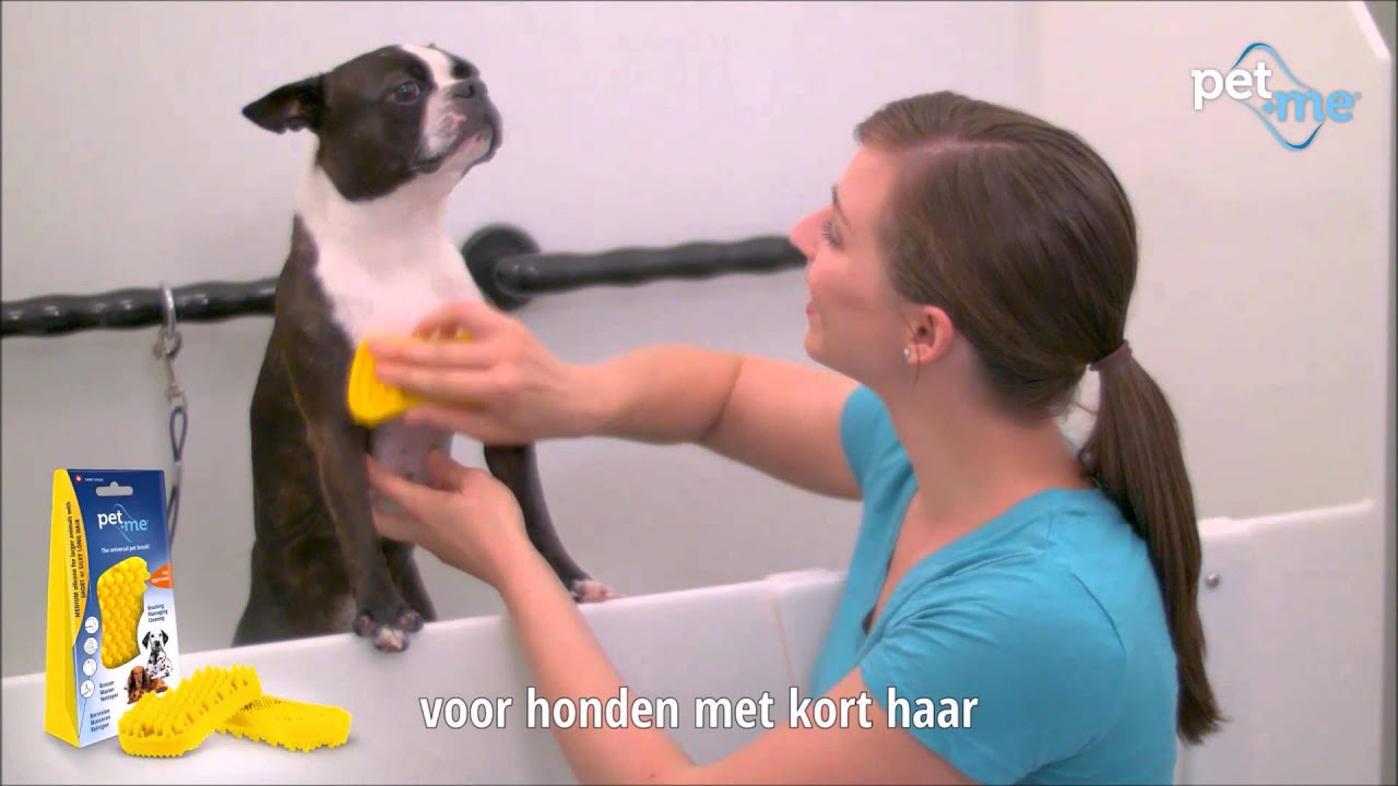 Pet+Me Dog Hair Brush Kort haar Geel 2025 Pet+Me Dog Hair Brush Kort haar Geel - Afbeelding 6