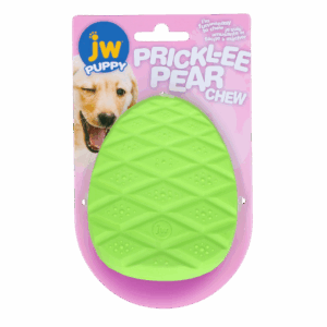 JW Puppy - Prickl-ee Pear Teether