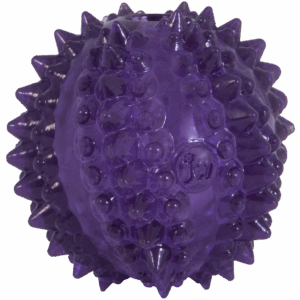 JW Puppy - Bristl-ee Cactus Ball