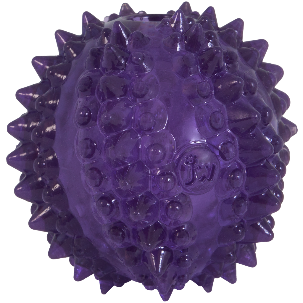 JW Puppy - Bristl-ee Cactus Ball 2025 JW Puppy - Bristl-ee Cactus Ball