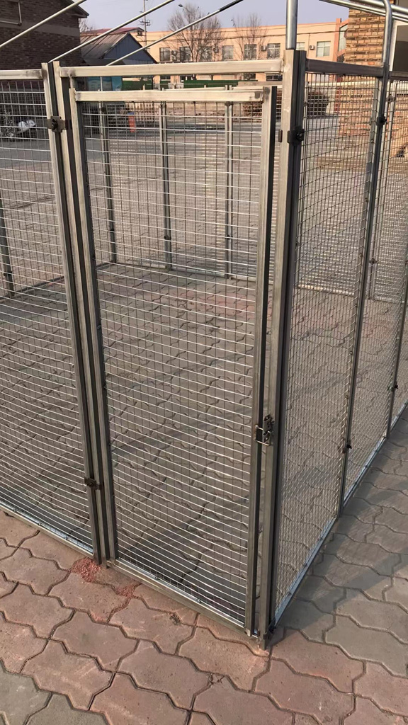 Cucciolotta Polly Run Kippenren 2025 Cucciolotta Polly Run Kippenren - Afbeelding 3