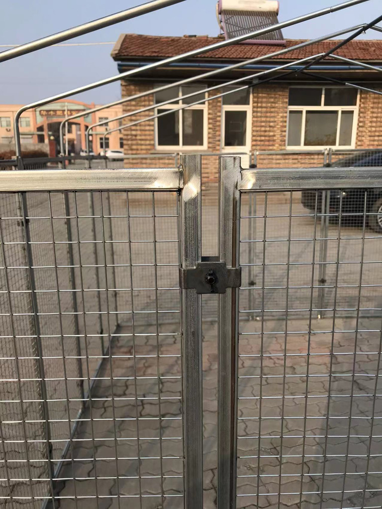 Cucciolotta Polly Run Kippenren 2025 Cucciolotta Polly Run Kippenren - Afbeelding 5