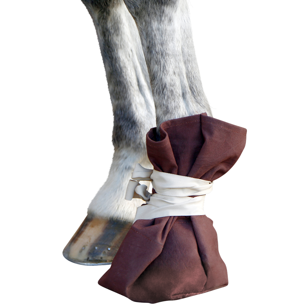 Klauw/Hoefzak voor rund en paard 2025 Klauw/Hoefzak voor rund en paard - Afbeelding 2