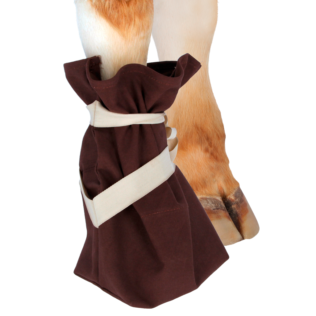 Klauw/Hoefzak voor rund en paard 2025 Klauw/Hoefzak voor rund en paard - Afbeelding 3