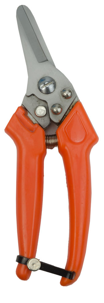 Claw Clipper Sheep Dutch 2025 Claw Clipper Sheep Dutch - Afbeelding 2