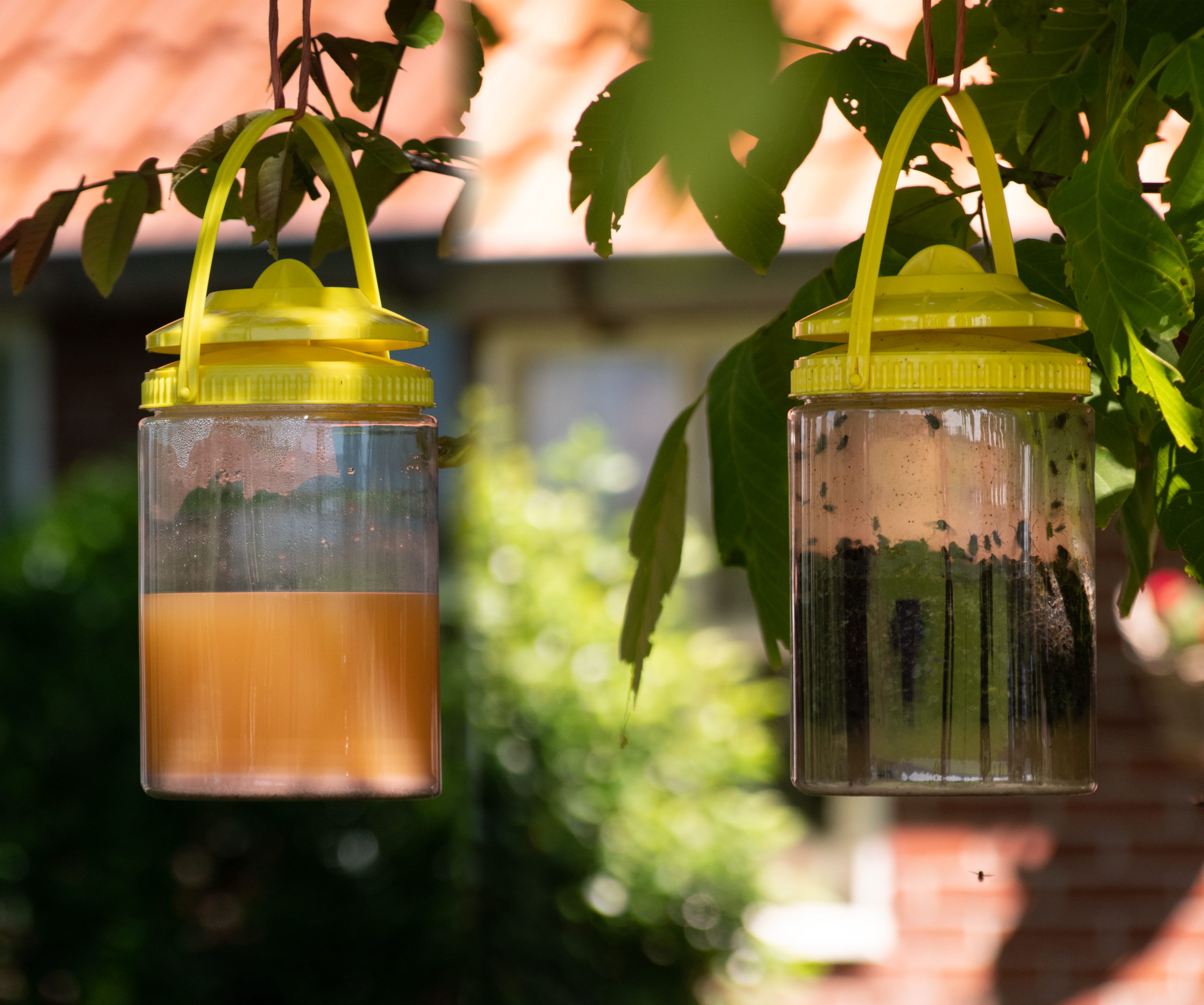 Knock Pest FlyNip VliegenVal 2025 Knock Pest FlyNip VliegenVal - Afbeelding 2