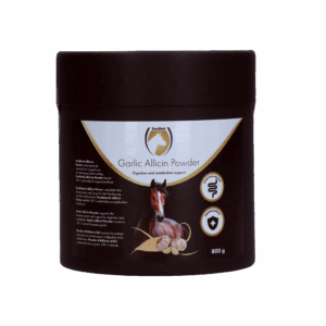 Excellent Horse Garlic Allicin Powder 800 g
