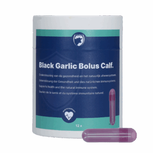 Excellent Black Garlic Bolus Kalf