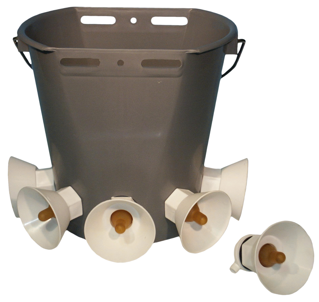 Lambar compl. 2-zijdig 5 protectors 2025 Lambar compl. 2-zijdig 5 protectors