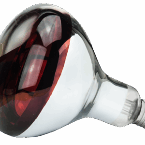 Hard Glas Lamp 150 W - Rood