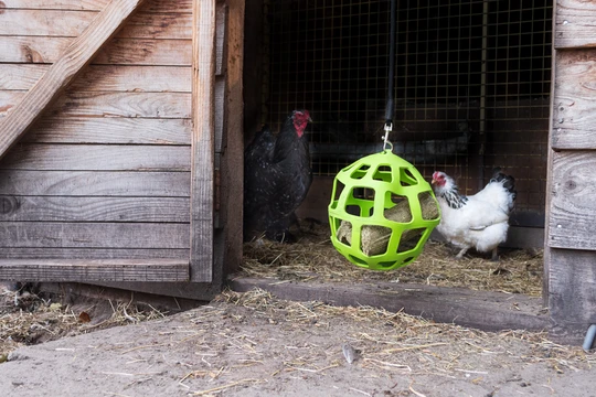 Lax Pikblok voor Legkippen 3,5 kg 2025 Lax Pikblok voor Legkippen 3,5 kg - Afbeelding 4