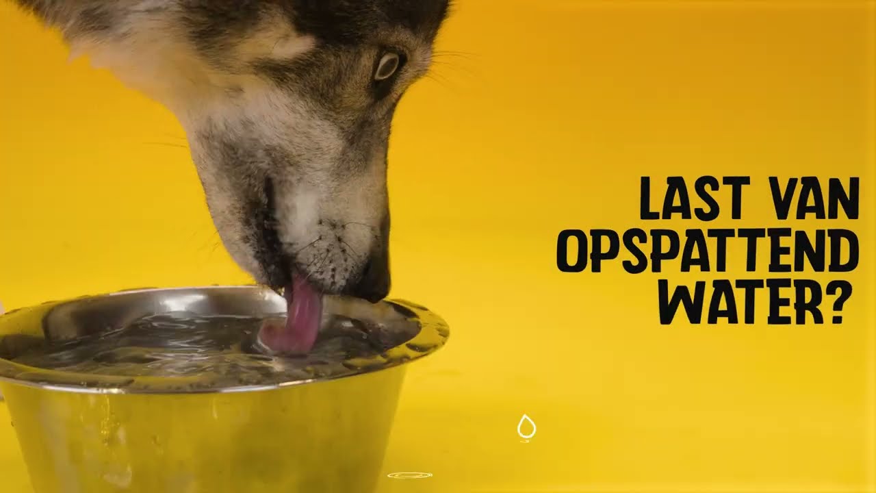 Excellent Pets No-Spill Bowl 800ml Roze M 2025 Excellent Pets No-Spill Bowl 800ml Roze M - Afbeelding 4