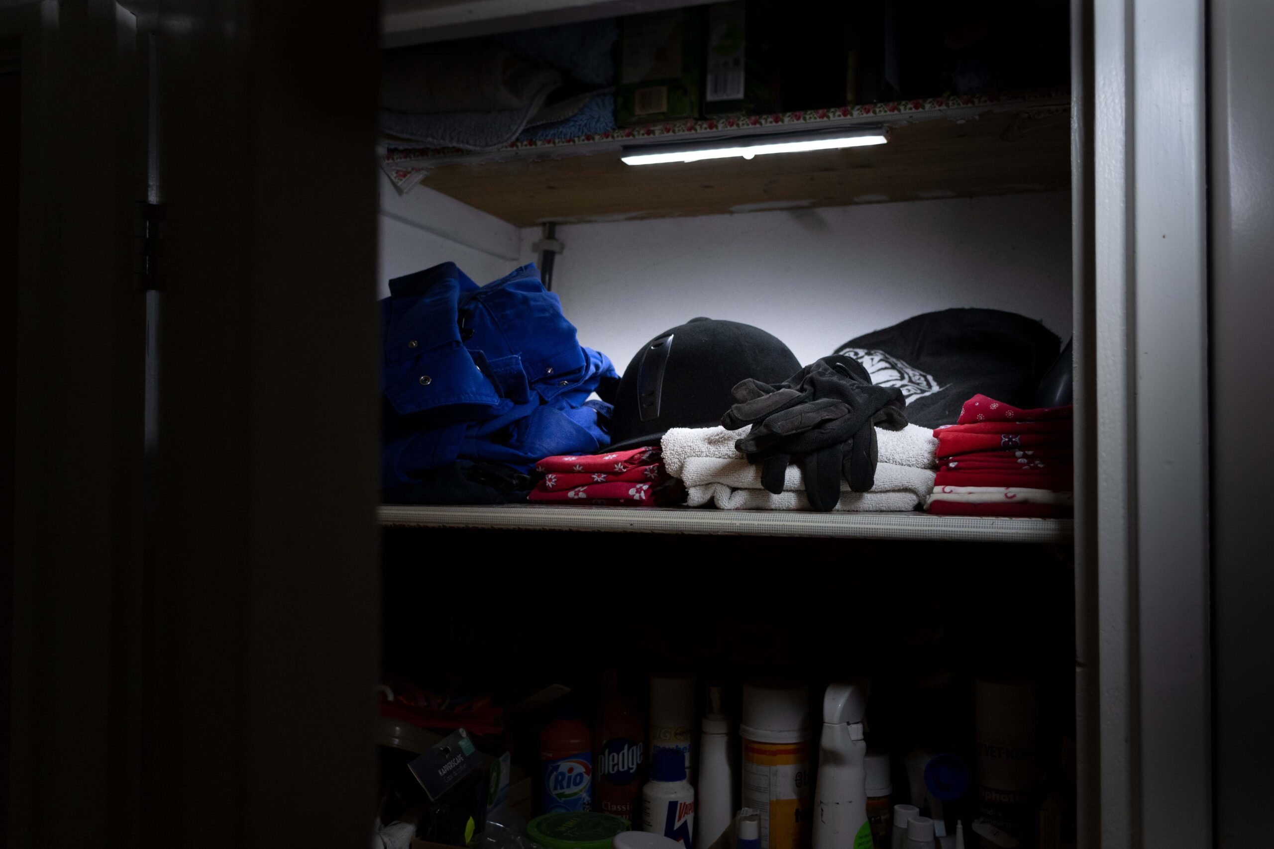 LED is more - LED Lamp 30 cm 2025 LED is more - LED Lamp 30 cm - Afbeelding 2