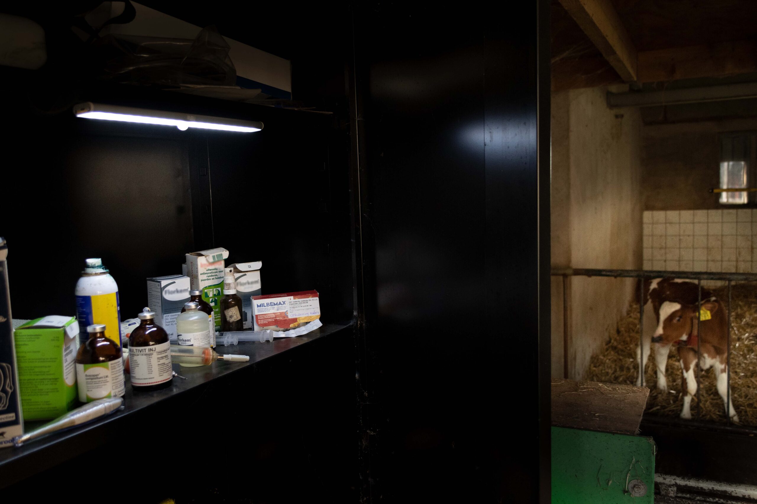 LED is more - LED Lamp 40 cm 2025 LED is more - LED Lamp 40 cm - Afbeelding 2