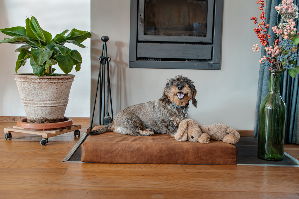 Let's Sleep Mellow Mattress Orthopedisch Kussen L Cognac 2025 Let's Sleep Mellow Mattress Orthopedisch Kussen L Cognac - Afbeelding 2