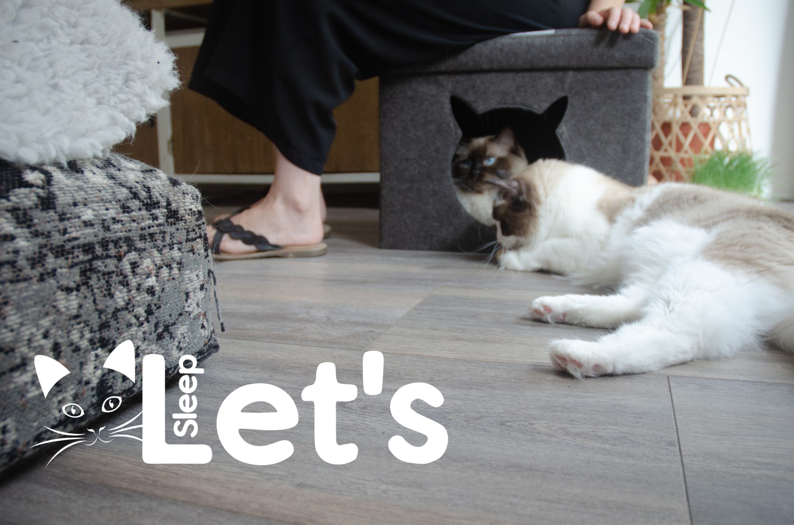 Let's sleep Pet Cube Licht/Donker Grijs 2025 Let's sleep Pet Cube Licht/Donker Grijs - Afbeelding 4